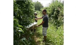 Vidéo pédagogique biodiversité fonctionnelle
