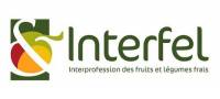 Logo Interfel