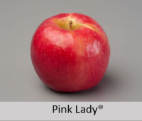 Pink Lady