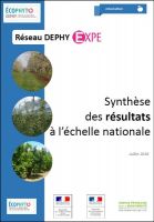 Synthèse EXPE Arbo