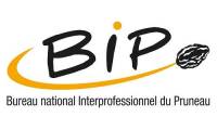 Logo BIP