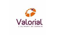 Logo VALORIAL