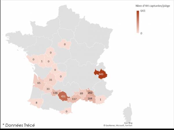 Com presse punaise 1