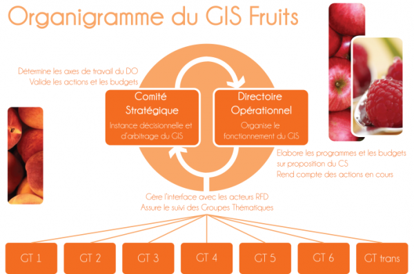 Organigramme GIS