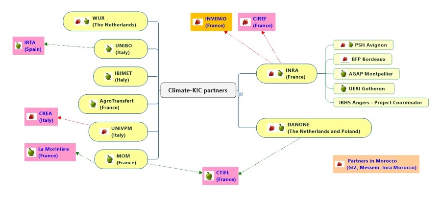 Friendly Fruit schema
